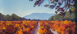 Autumn Vines near Stellenbosch | 2018 | Oil on Canvas | 60 x 40 cm